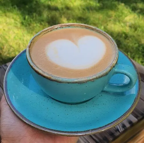 维瓦尔第酒店 酒店 4*